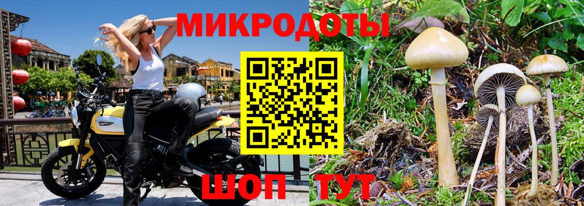 Галлюциногенные грибы GOLDEN TEACHER  Галлюциногенные грибы мухоморы  Благодарный  Вход с VPN 